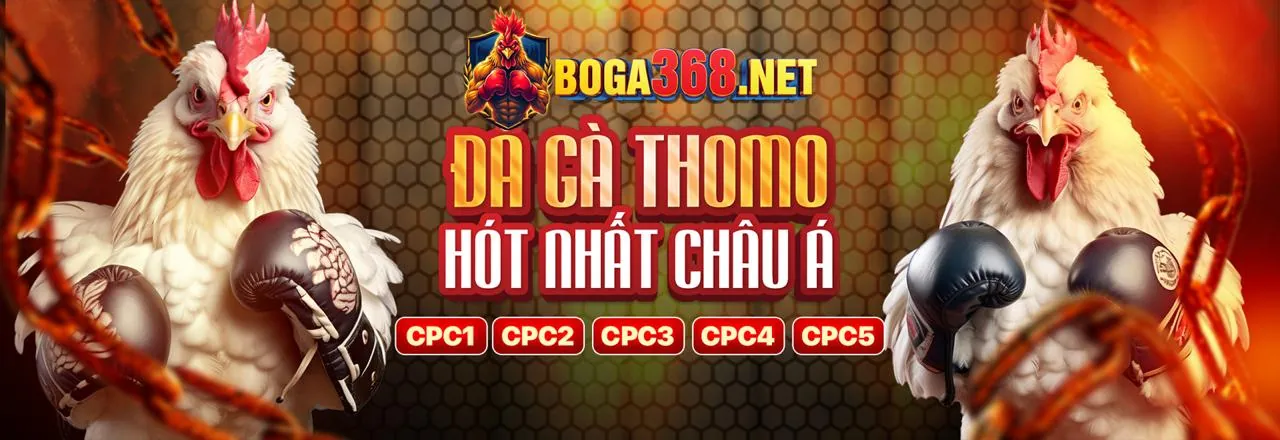 Cá cược thể thao tại appn188 với link mới nhất